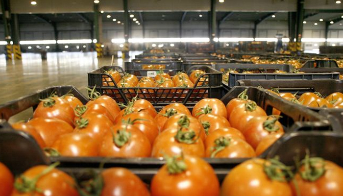 “La gestión documental aterriza en el agro almeriense”